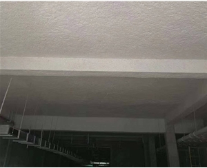 窯子上村兒童福利院無機纖維噴涂案例